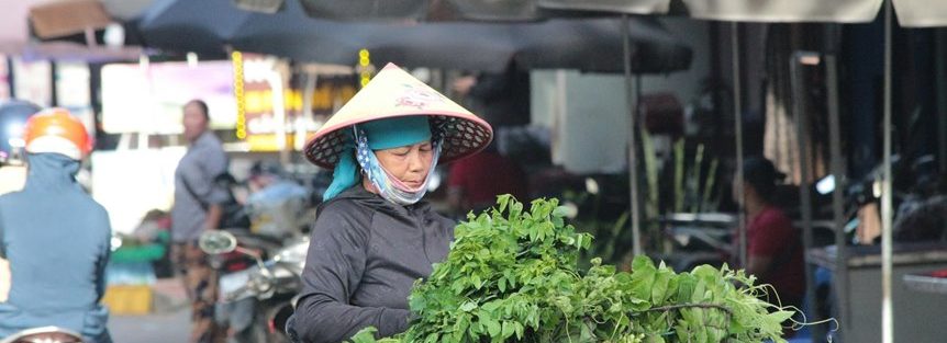 agricultural market research services
