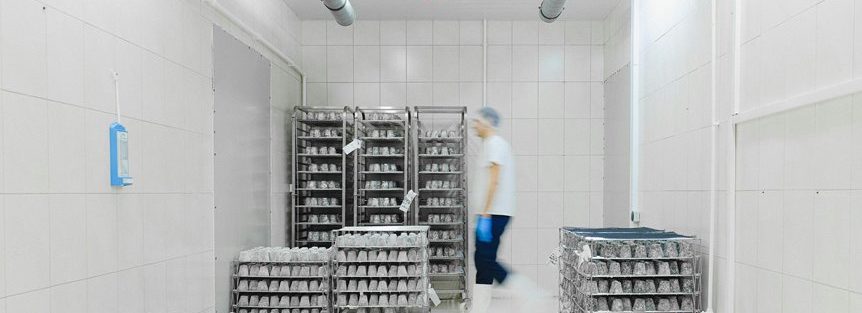 cold chain logistics analysis