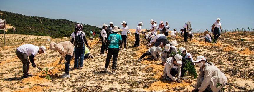 reforestation feasibility study nigeria