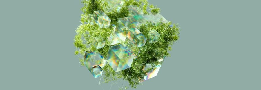 renewable energy consumer insights