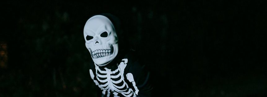 theme park experience insights
