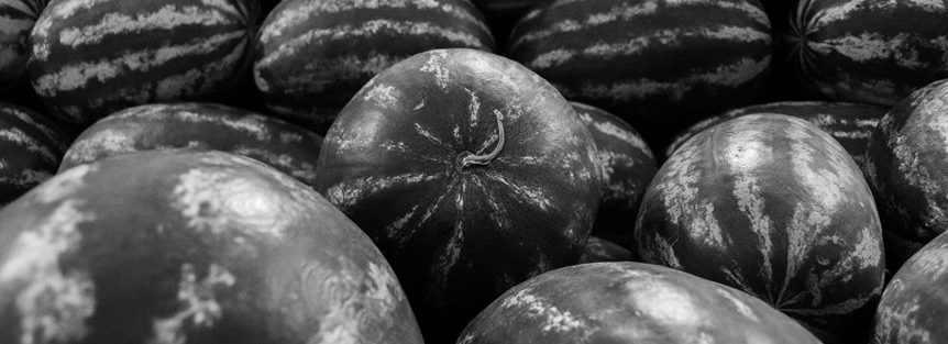 vegan food market insights