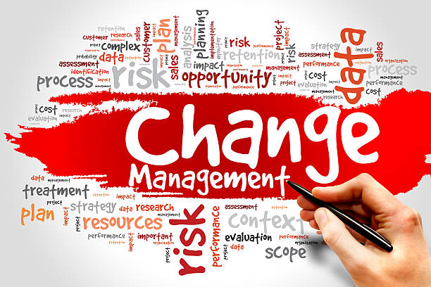 Public Sector Change Management in Nigeria: Strategies for Effective Reform