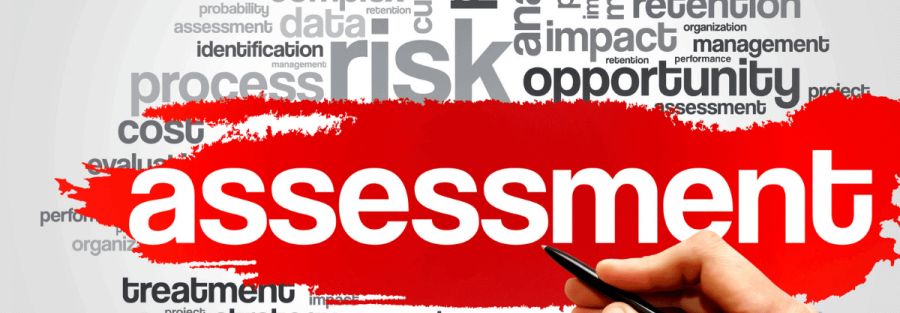 Risk Analysis in Feasibility Studies: Lessons from Large-Scale African Projects