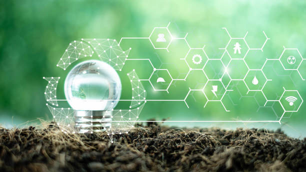 How to Conduct a Feasibility Study for Agritech Ventures in West Africa