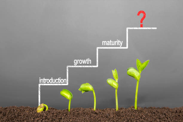 Industry Lifecycle Analysis Nigeria: Smarter Investment Timing