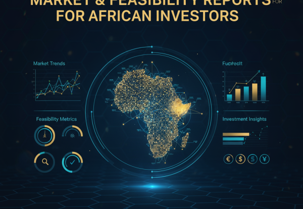 Feasibility Study in Africa: Market Research & Investment Reports | Novatia Consulting